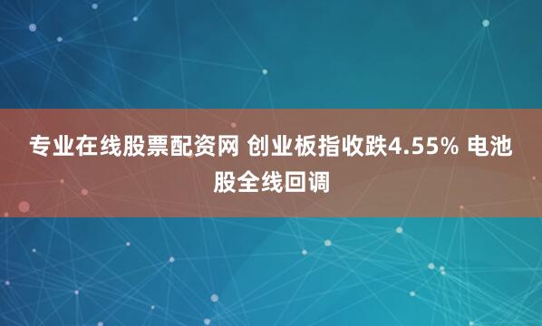 专业在线股票配资网 创业板指收跌4.55% 电池股全线回调
