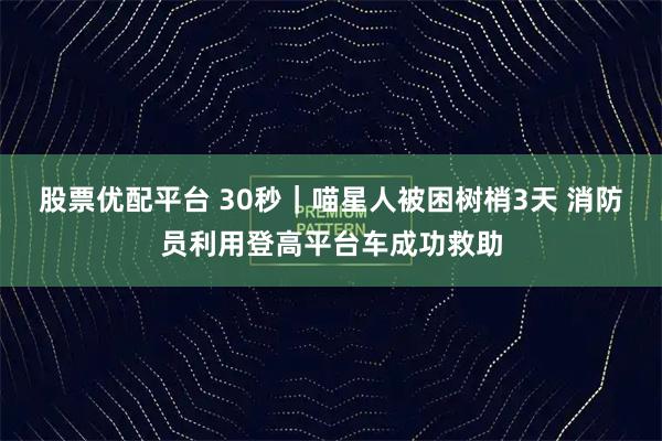 股票优配平台 30秒｜喵星人被困树梢3天 消防员利用登高平台车成功救助