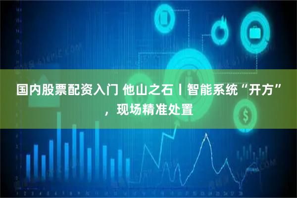 国内股票配资入门 他山之石丨智能系统“开方”，现场精准处置